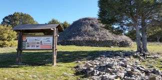 Atractiva programación para conocer los Parques Naturales de Guadalajara