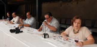 Enseñarán claves para mejorar opciones de premio en grandes concursos internacionales de vinos