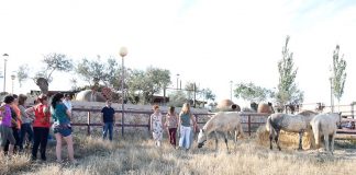 24 mujeres, en programa Impulsa Mujer Rural de la Diputación de Guadalajara