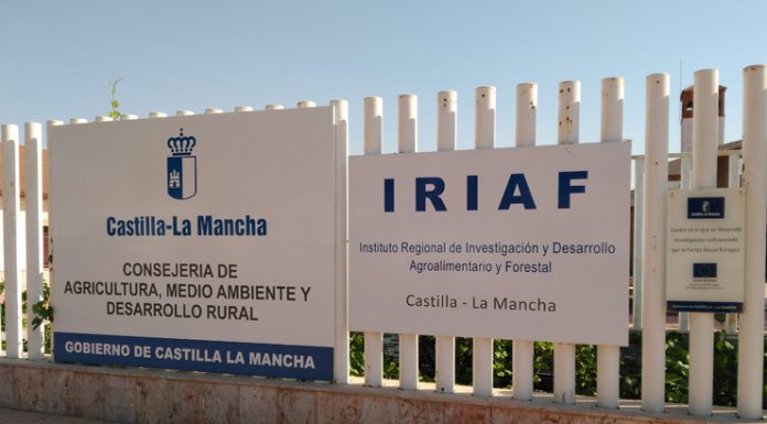 Jornada sobre ovino manchego y cambio climático, en Tomelloso