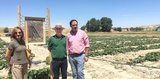 El pepino de una famosa ginebra se cultiva en Cuenca