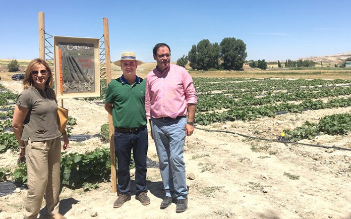 LidonRomeroPrietoHuertoHendricks