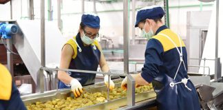 350.000 euros para ayudas para planes individuales de exportación de empresas