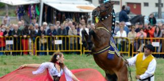 El Herrumblar (Cuenca) recibirá a los Cabalos Galegos en agosto