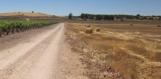 Convocadas ayudas para arreglos de caminos de Castilla-La Mancha