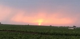 Predicen un invierno cálido y seco en Castilla-La Mancha