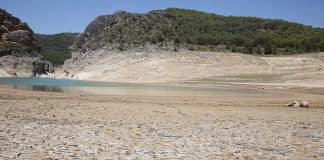 Los municipios ribereños denuncian el «sinsentido» de las desaladoras «paradas»