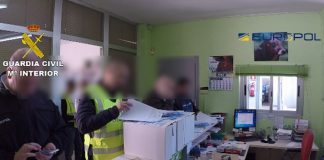 Desmantelan red que comerciaba con carne de caballo no apta para consumo