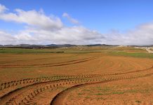 Vídeo. Evolución de medio siglo de transformaciones en los usos del suelo de España suelo