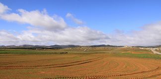 La salud del suelo, clave para el futuro de la agricultura suelo