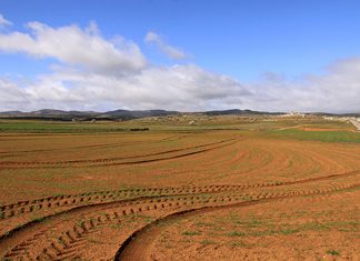 Vídeo. Evolución de medio siglo de transformaciones en los usos del suelo de España suelo