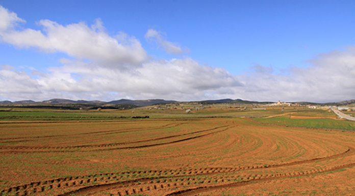 Vídeo. Evolución de medio siglo de transformaciones en los usos del suelo de España suelo