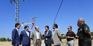 Junta e Iberdrola acuerdan sustituir apoyos en tendidos eléctricos para protección aves