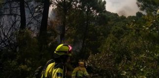 Nivel de emergencia para el incendio de Yeste (Albacete)
