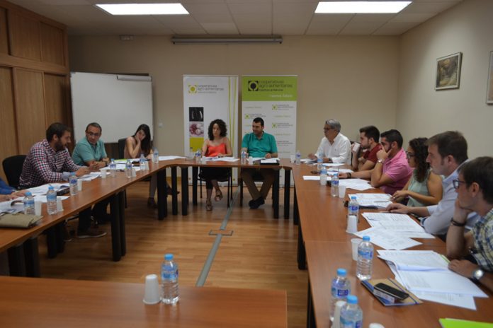 jovenes cooperativistas