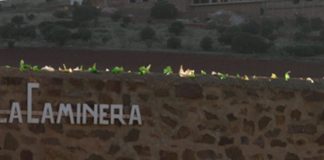 Todo es posible en La Caminera. Ecologistas en Acción-Ciudad Real