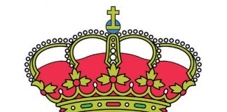 RFEC solicita al Ministerio de Sanidad que incluya caza en Fase I