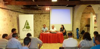 Sequía y pedrisco dejarán un 30 por ciento menos de cosecha de uva en la provincia de Cuenca