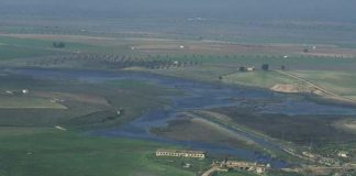 15,3 millones para seguimiento del estado de aguas el Guadiana