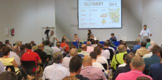 Un semental de raza ovina manchega alcanza los 4.720 euros