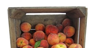 Reclaman declaración de perturbación del mercado en sector de fruta dulce