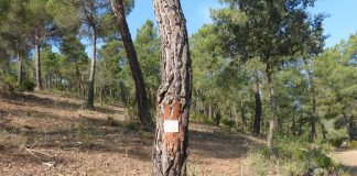 Conozca los nuevos senderos de la provincia de Cuenca