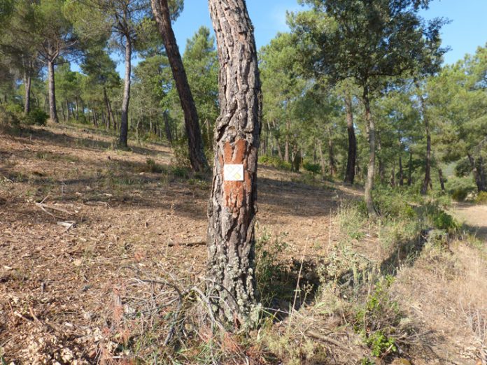 Foto Sendero Señalización