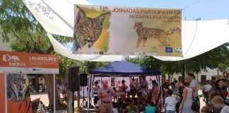 Iberlince organiza jornadas divulgativas en municipios de reintroducción del lince ibérico