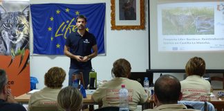 Mazarambroz (Toledo) apuesta por desarrollo local de mano del lince ibérico