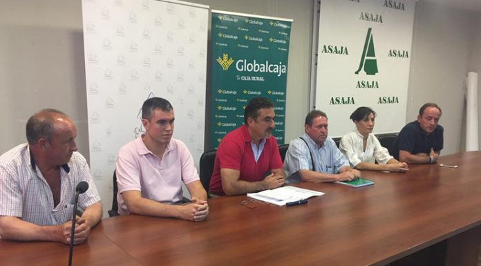 179.000 euros para ayudas al pastoreo de 57 ganaderos de ovino