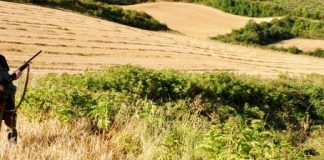 Acusan a Gobierno regional de abdicar ante los animalistas más radicales