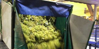 ASAJA revisa a la baja las estimaciones de producción de vino y mosto