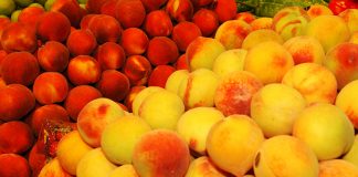 Nuevas retiradas de fruta dulce podrán notificarse desde 29 de agosto fruta