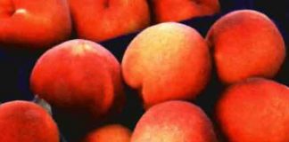 CE amplía en 20.000 toneladas cupos de retirada de fruta de hueso