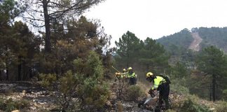 Destaca la importancia de aprovechamientos tradicionales de montes contra incendios