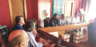 El melón sigue por encima de los 60 céntimos el kilo