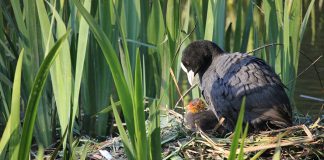 Unión de Uniones defiende un presupuesto propio para la Red Natura 2000