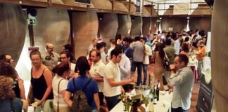 Importantes novedades del XVIII Túnel del Vino de Valdepeñas