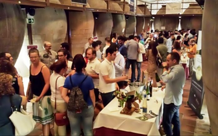 tunel_vino_valdepenas