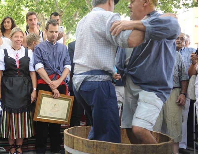 vendimia_tradicional 4