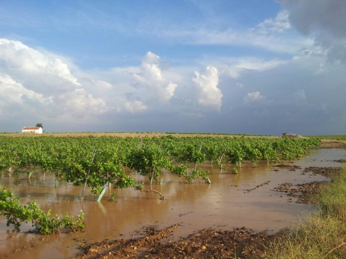 20150611_GRANIZO PEDRO MUÑOZ