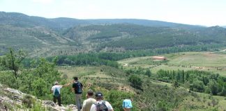 Solicita extremar precaución con fauna silvestre ante la desescalada