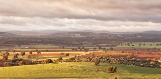 Los controles de la PAC 2019 por monitorización no afectarán a Castilla-La Mancha