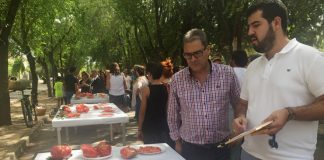 Calidad y variedad del producto autóctono en Fiesta del Tomate (Fontanar)