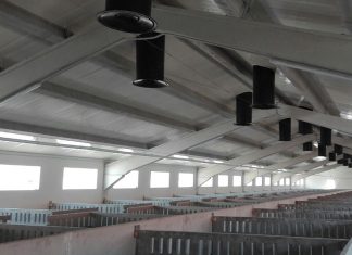 CEOE CEPYME Cuenca pide que se permita operar a granjas porcinas que cumplan requisitos