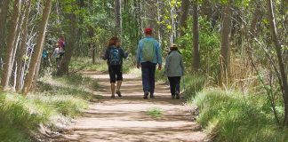 Programan rutas interpretadas en los parques naturales de Guadalajara, en septiembre