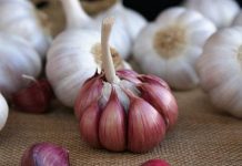 Marruecos protegerá su ajo fresco de importaciones de producto español