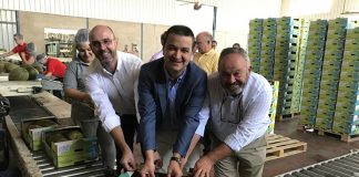 Martínez Arroyo destaca importancia socioeconómica del cultivo de melón y sandía