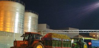 9 de marzo. Plazo ayudas destinadas a la integración de entidades asociativas agroalimentarias