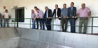 Martínez Arroyo estima que vendimia rondará los 20 millones de hectólitros